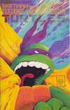 Teenage Mutant Ninja Turtles #22 Comic Books - Covers, Scans, Photos in Teenage Mutant Ninja Turtles Comic Books - Covers, Scans, Gallery